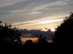 IMGP6890_1.jpg