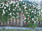 20150608_072431.jpg