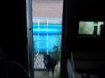 20150726_202710.jpg