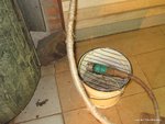 IMG_8647.JPG