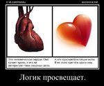 99q6XYvKBi4.jpg