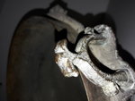 20161205_093231.jpg
