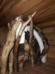 20161211_152821.jpg