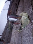 IMG_20170103_162630.jpg