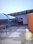 IMG_20170103_162655.jpg