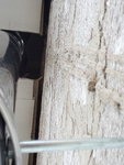 IMG_20161227_152636.jpg