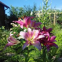 IMG_03072016_180608