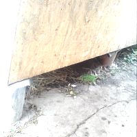 DSC02132