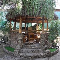 DSCN6578